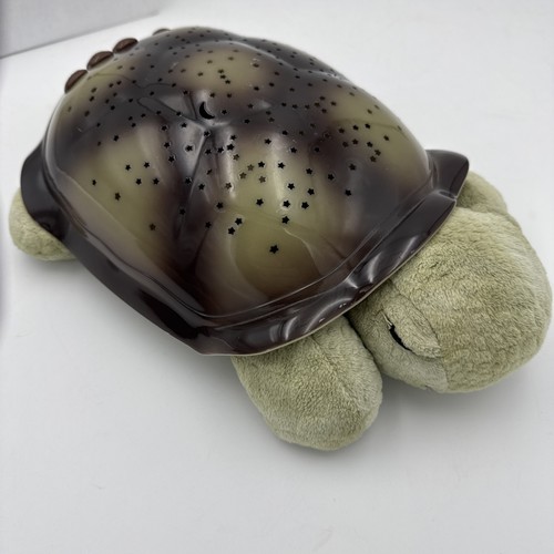 Cloud twilight turtle night - turtle,
